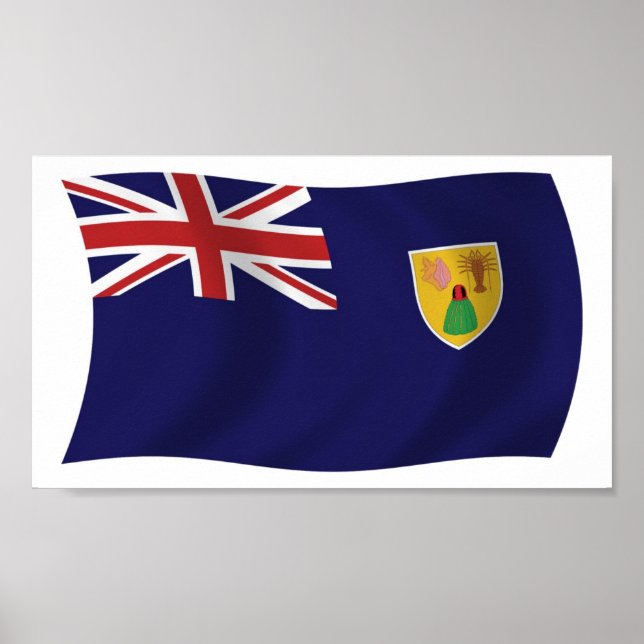 Flagga Turks- och Caicosöarna Poster utskrift (Framsidan)