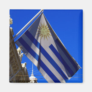flagga uruguay magnet