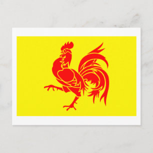 Flagga Vallonien Vykort