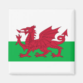 Flagga Wales Magnet