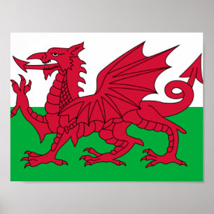 Flagga Wales Poster