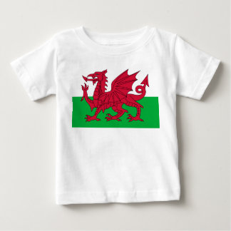 Flagga Wales T Shirt