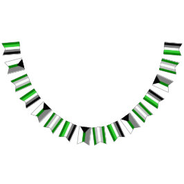 Flaggor för Aromantic SpectrumBunting