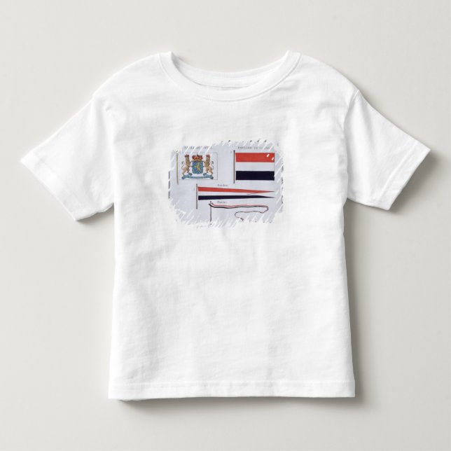 Flaggor från kungariket av Nederländerna, från a Tee Shirt (Framsida)