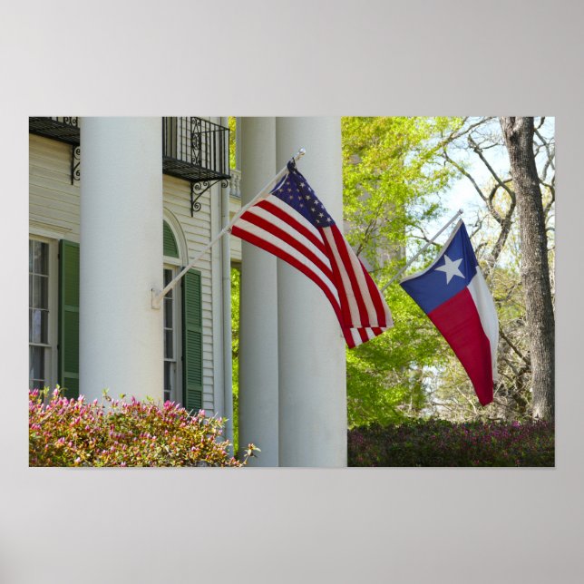 Flaggor, Goodman LeGrand House, Tyler, Texas Poster (Framsidan)