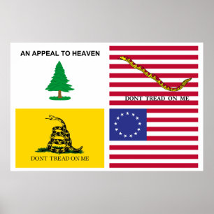 Flaggor i den amerikanska Revolutionen Poster