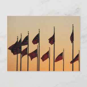 Flaggor i Sunset American Patriotic USA Vykort