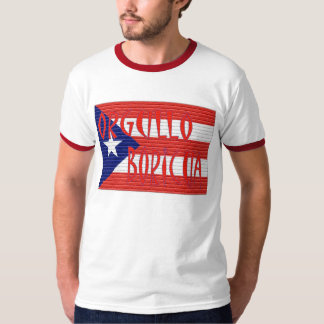 Flaggor i tegelstenar tee shirt