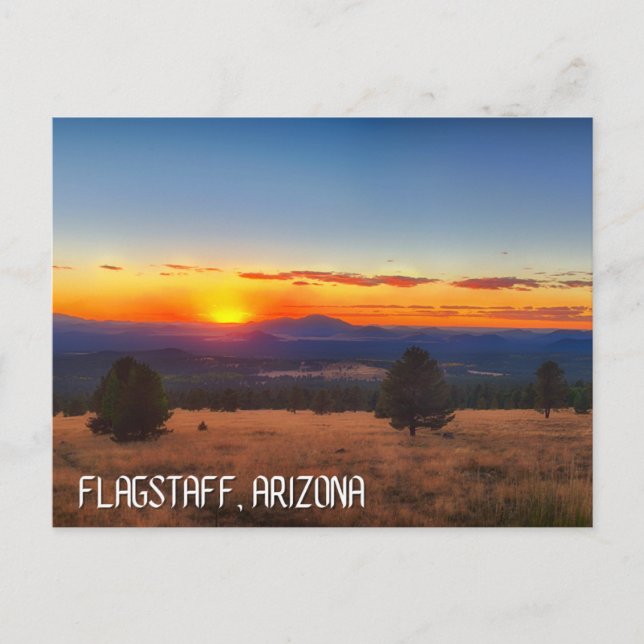 flaggpersonal arizona resevykort vykort (Framsida)