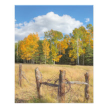 Flaggpersonalens ängsmark