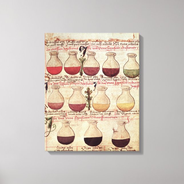 Flaggserier för urinanalys canvastryck (Framsida)