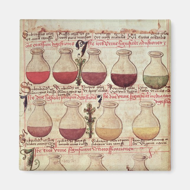 Flaggserier för urinanalys magnet (Framsidan)