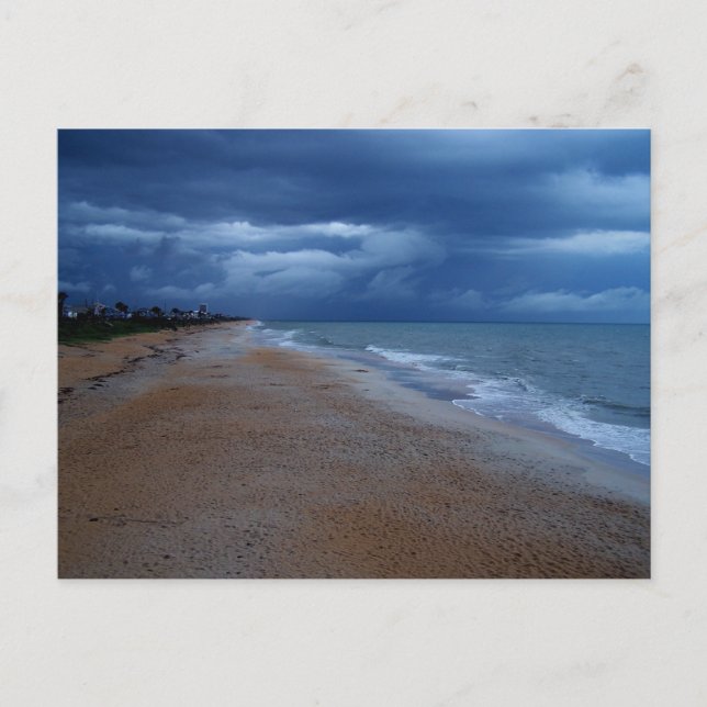 Flagler Beach Shoreline View Vykort (Framsida)