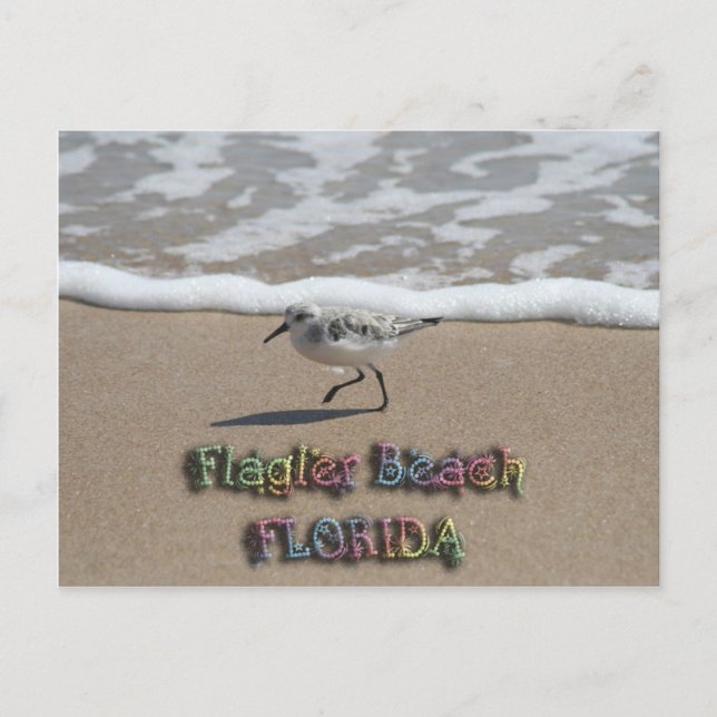 Flagler Beach-vykort Vykort (Framsida)