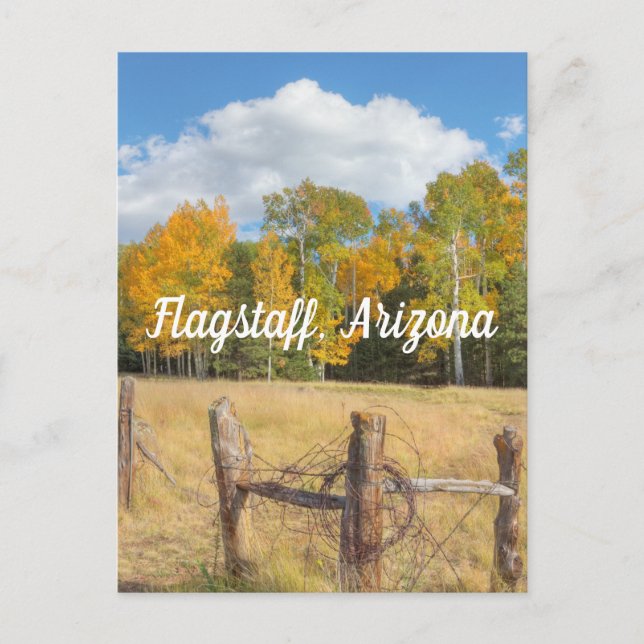 Flagstaff äng vykort (Framsida)