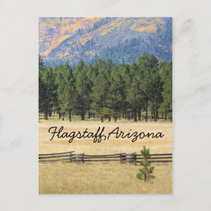 Flagstaff, Arizona färglös fält Vykort