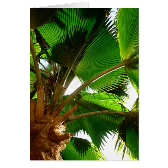 Fläkt Handflatan Hälsningskort (Framsidan)