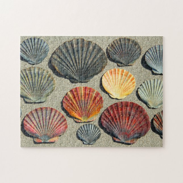 FLÄKT SNÄCKOR 11 x 14 tum Pussel (Horisontell)