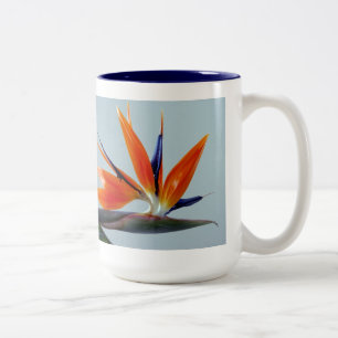 Fläkt vid Paradise Mugg