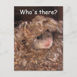 Fläktekorrekord - vykort