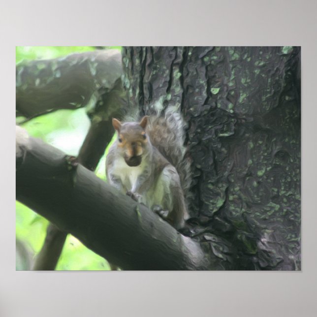 Fläktfärg med Nöt-naturfoto Poster (Framsidan)