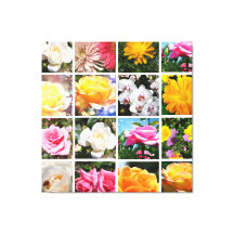 Fläktiga blommor, rosa, vit gul ros
