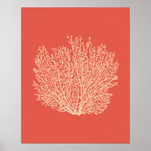 Fläktkoralltryck, persika på den djupa poster