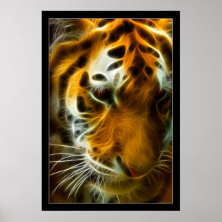 Flamande tigger poster