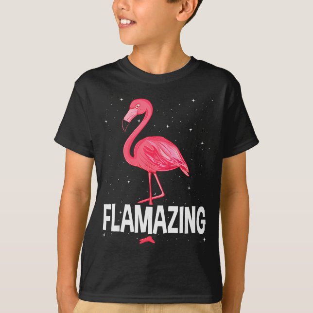Flamazing Nk Flamingo Novelty Flamingo Lover Funny T Shirt (Framsida)