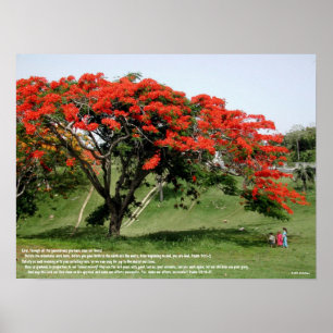 Flamboyan Psalm 90 Poster