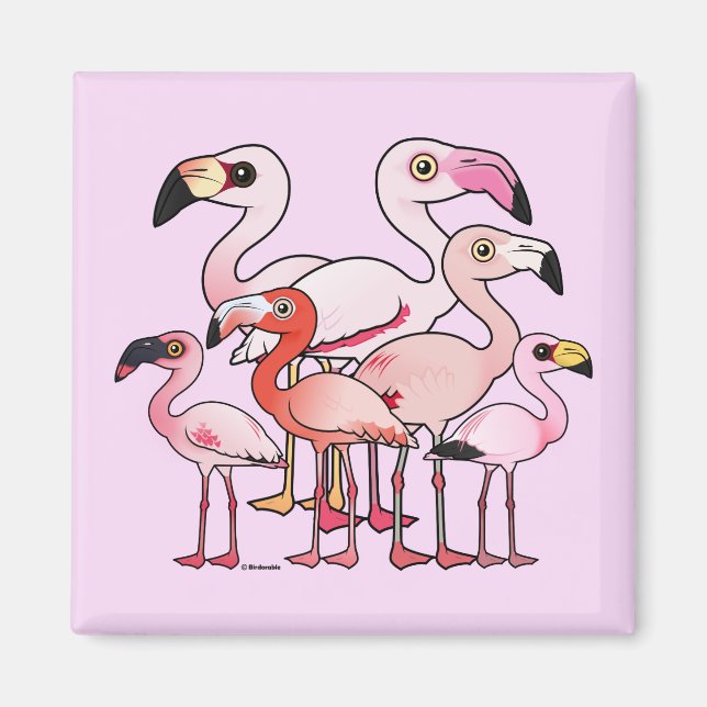 Flamboyance Magnet (Framsidan)