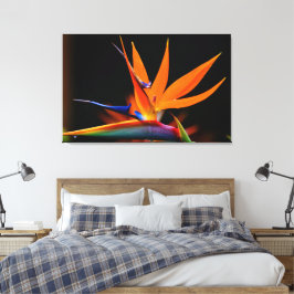 Flamboyant Bird of Paradise Flower Canvastryck