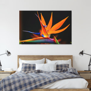 Flamboyant Bird of Paradise Flower Canvastryck
