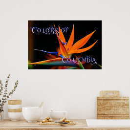 Flamboyant Bird of Paradise Flower Poster