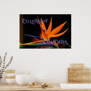 Flamboyant Bird of Paradise Flower Poster