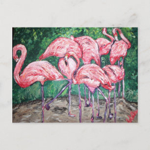 ’Flamboyant Flamingos’ Vykort