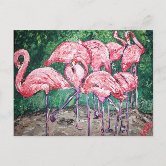 ’Flamboyant Flamingos’ Vykort (Framsida)
