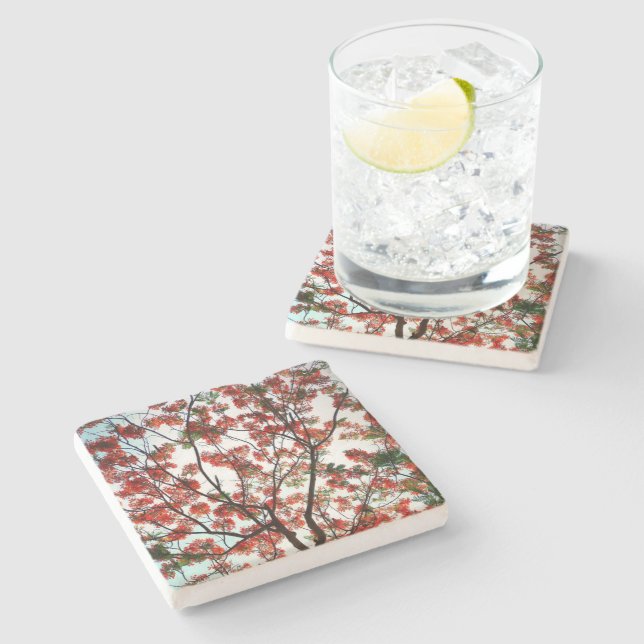 Flamboyant Royal Poinciana Blommigt Botaniana Stenunderlägg (Sidan)