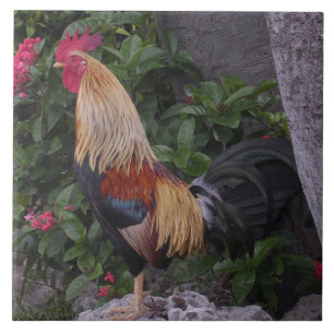 Flamboyant tupptrivet kakelplatta