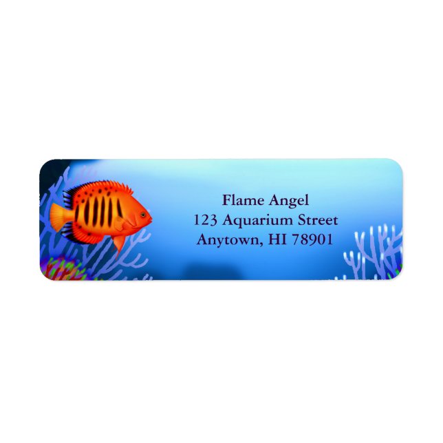Flame Angelfish Reef Fish Label Returadress Etikett (Framsidan)