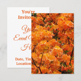 Flame Azalea Flowers Inbjudningar