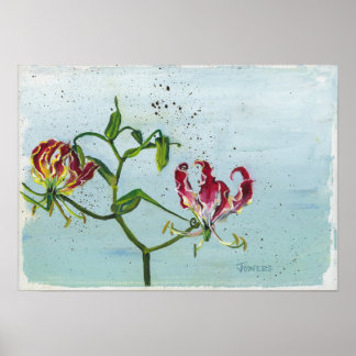 Flame Lily av Cheryl Jowers Poster