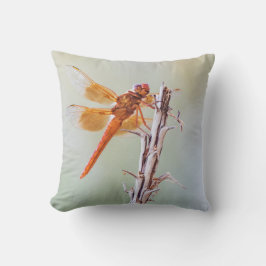 Flame Skimmer Dragonfly på Agave Kudde