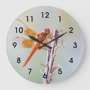 Flame Skimmer Dragonfly på Agave Stor Klocka