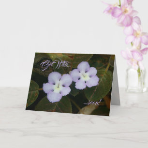 Flame Violet Tropical WildBlor kommer snart Kort