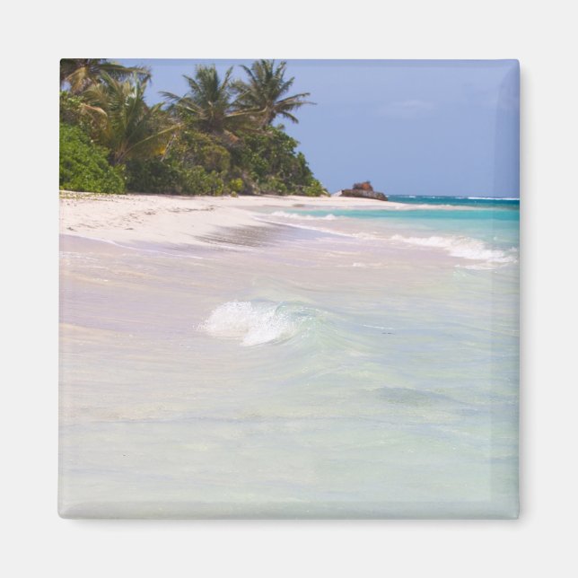 Flamenco Beach Culebra Puerto Rico Magnet (Framsidan)