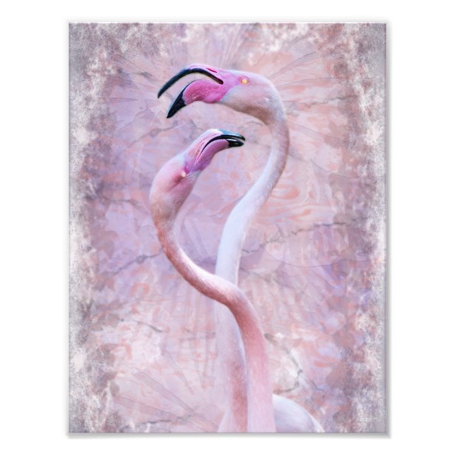 Flamenco tryck (Framsidan)