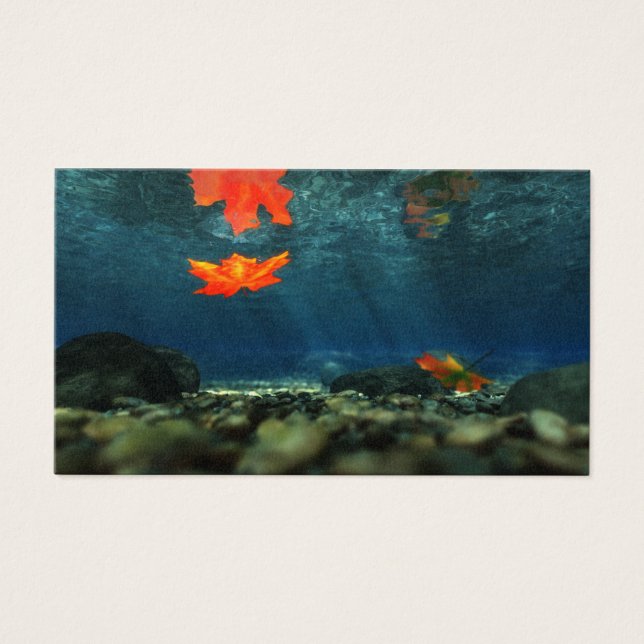 Flamet i Vatten Bokmärken Visitkort (Framsidan)