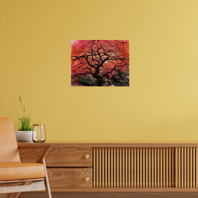 Flaming Gnarly Japanese Maple Tree Poster (Vardagsrum 2)