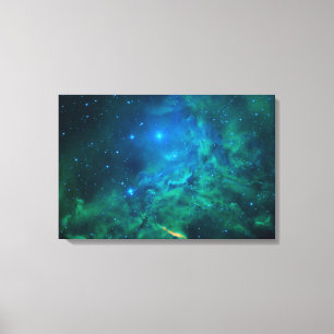 Flaming Star Nebula Canvastryck